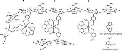 Chitosan Membrane Modified With a New Zinc(II)-Vanillin Complex Improves Skin Wound Healing in Diabetic Rats